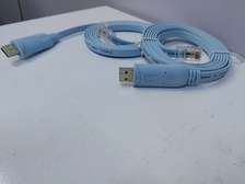 USB to RJ45 Console Cable