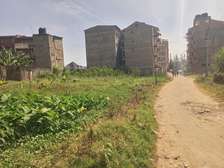 Kahawa Wendani plots 40 by 80 near tarmac