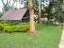Lavington -5Bedrooms bungalow for rent.