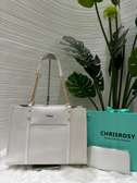 Chrisrosy White Handbag with Gold Chain & Wallet