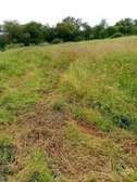 500 acres for long-term lease in kambu makueni