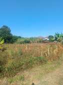 PRIME LAND FOR SALE IN KIAMBU