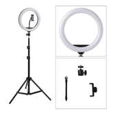 2.1m tripod stand with ring light