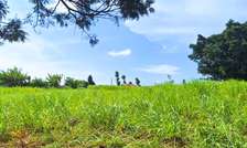8 ac Land at Gikuni
