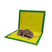 Non-Toxic Sticky Mouse/Rat Stick Glue Board