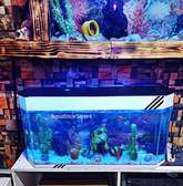 Aquariums with Package