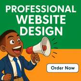 Design or redesign professional website