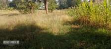 Kithimu 1½ Acres