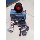Car Alarm system TSK-102/T310 Normal