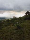 2.5 Acres Of Prime Land For Sale In Naivasha