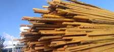 Bluegum Timber for sale
