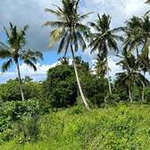 50*100 plots for sale in Diani