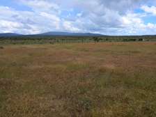 Affordable Plots for sale in Konza