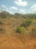 9 Acres Available For Sale In Makindu Town Ikoyo Region