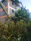 50by100 plot for sale in ruaka