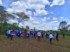 Achiever's Gardens Nakuru phase 2