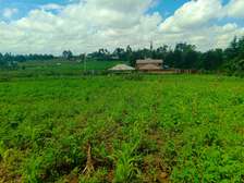 1,000 m² Residential Land in Kamangu
