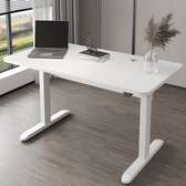1.2 Meters Wood Top Office Electric Desk