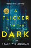 A flicker in the dark ebook