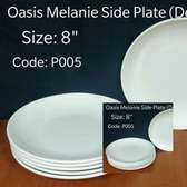 P005 8 oasis melamine 6pcs set dinner plates