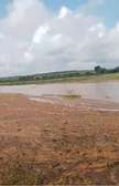 175 Acres Touching River Is Available For Sale in Baricho