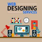 Professional website Design Services.