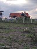 Ideal Prime Plots 50by 100