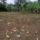 40*80ft plots for sale at Makuyu near Makuyu Teachers c