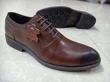 John Foster Laced Premium Leather Brown Official Shoes