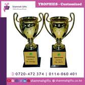 TROPHIES Customized for your events