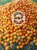 PIXIE ORANGES FOR SALE(GRADE 1)