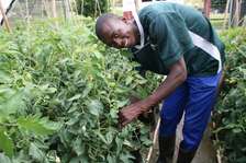 Bestcare Gardeners Syokimau Gigiri Runda Nyari Muthangari