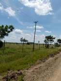 50x100 Juja Farm- Kwa Murage Prime Plots for Sale