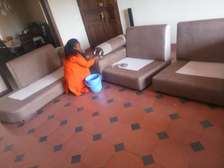 Ella Sofa Set Cleaners in Kiambu