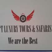 T. Luxury Tours & Safaris