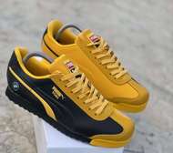 Puma Roma