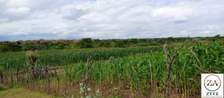 25 ac Land at Narok - Enabelbel