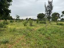 3.8 ac Land in Vipingo