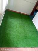 Nice grass carpet.