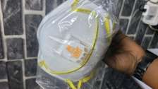 8511 Facemask
