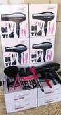 Professional Hair Dryer Styling Kit Black Pink