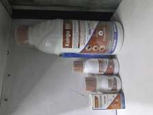 KUNGUNIL 200SL BEDBUG PESTICIDE