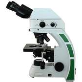 RB30-GFP Fluorescence Microscope