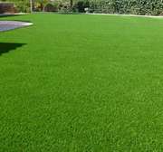 Grass carpets (13_13)