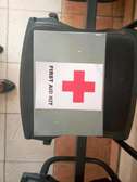 Large First Aid Box (Metallic) Kenya