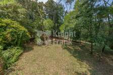 4.8 ac Land in Limuru