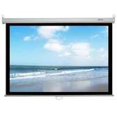 Electric projection screen 70x70