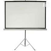 TRI-POD PROJECTION SCREEN 84*84