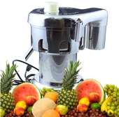 Commercial Vegitable Fruit Juice Extractor  Heavy Duty
