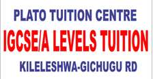 Online tuition  Igcse , A levels, form 3 and 4